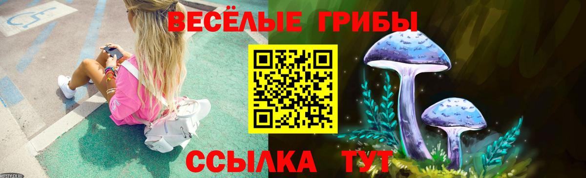 Благовещенск  Псилоцибиновые грибы ЛСД  Вход с VPN 